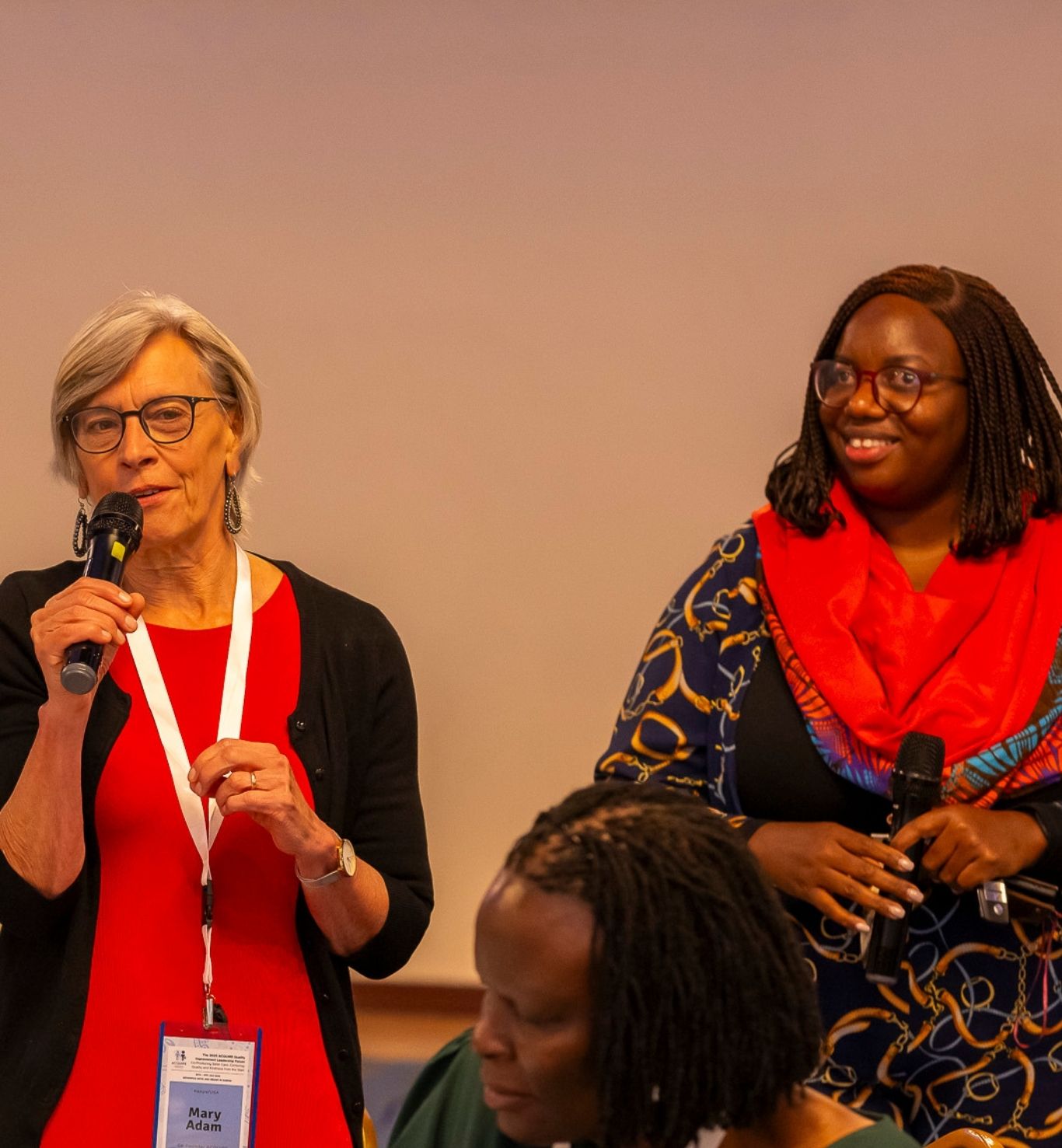 In 2019, Mary found a call for proposals and sent it to Ruthpearl in December.